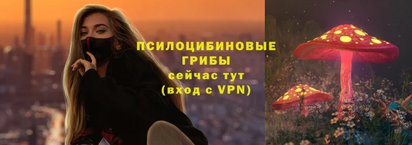 тгк Абинск