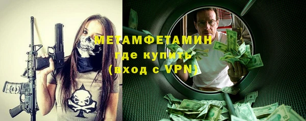 прущие грибы Вяземский